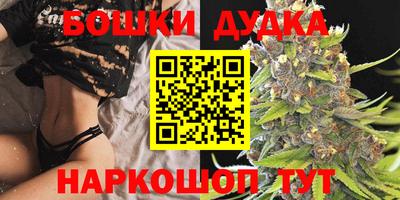 стафф Пенза