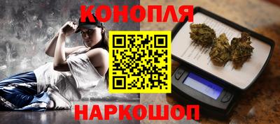 стафф Пенза