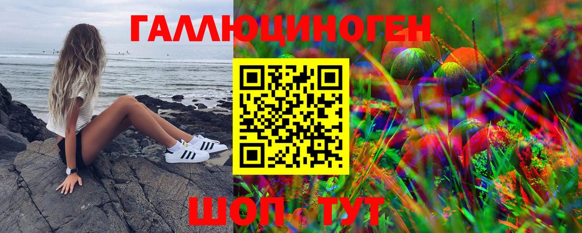 Галлюциногенные грибы Psilocybe  Галлюциногенные грибы MAGIC MUSHROOMS  Сергиев Посад  Вход с VPN 